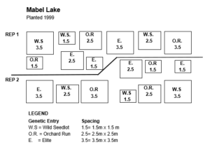 Mable Lake