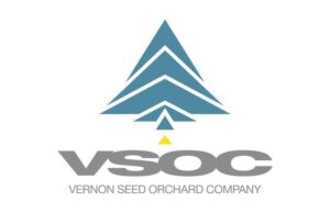 VSOC gray logo